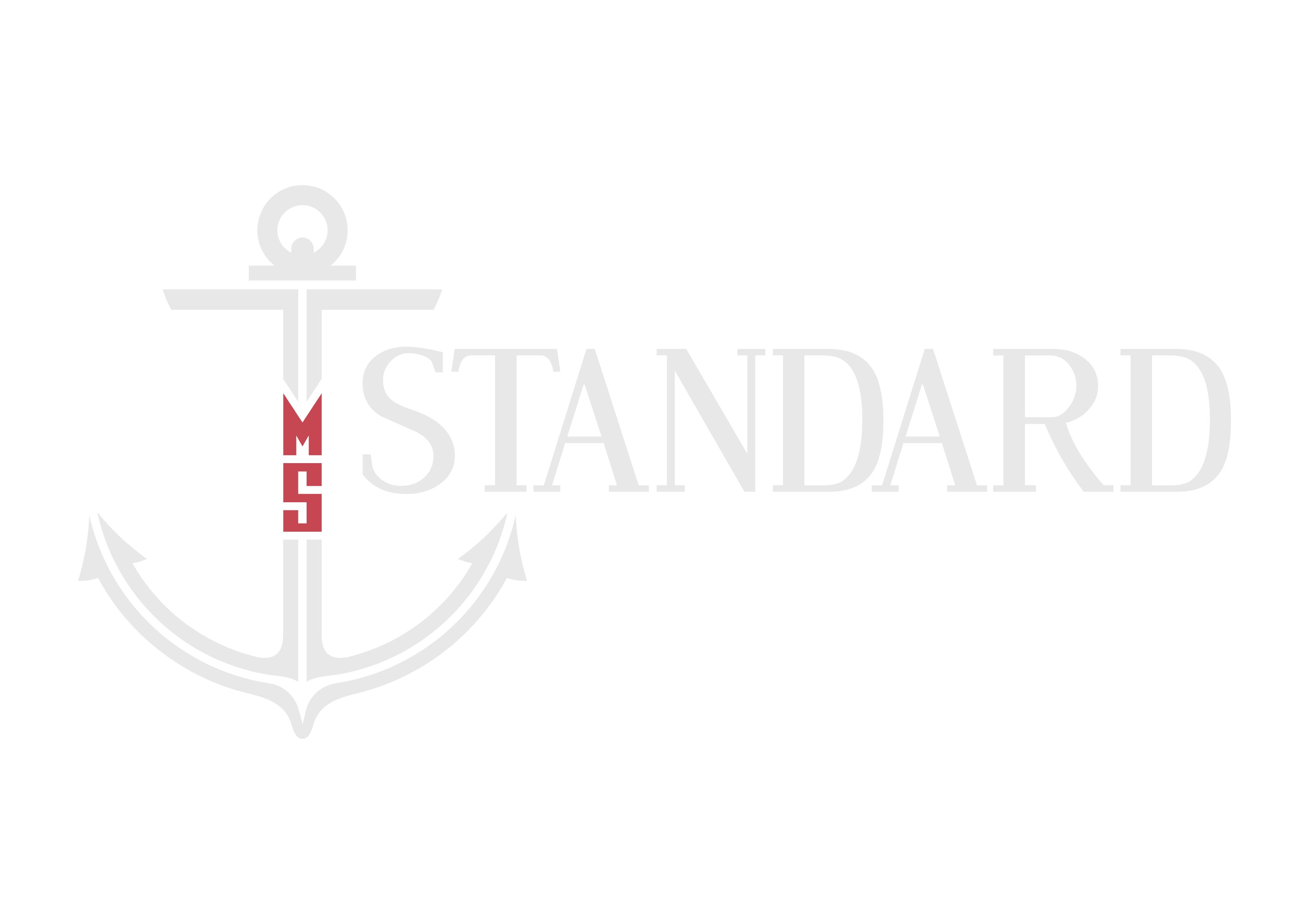 ms-standard